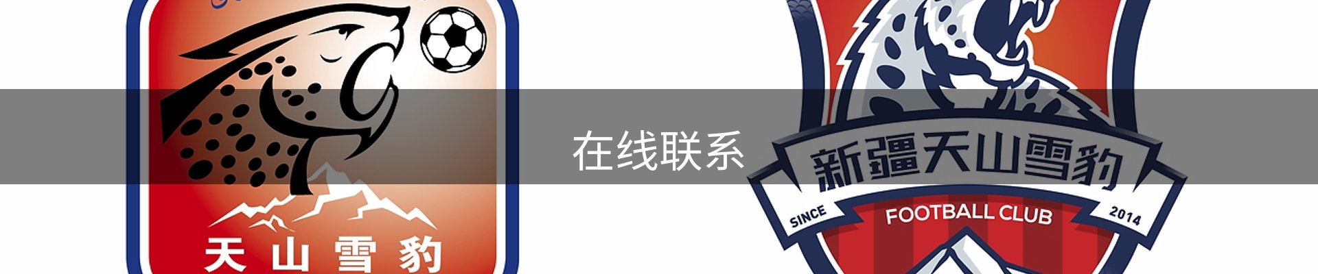 在线联系